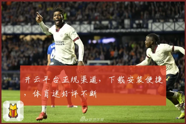 开云平台正规渠道，下载安装便捷，体育迷好评不断