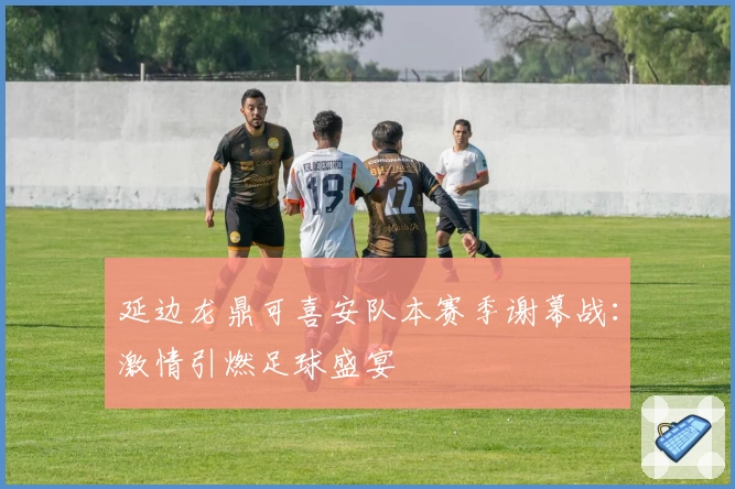 延边龙鼎可喜安队本赛季谢幕战：激情引燃足球盛宴