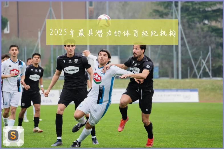 2025年最具潜力的体育经纪机构